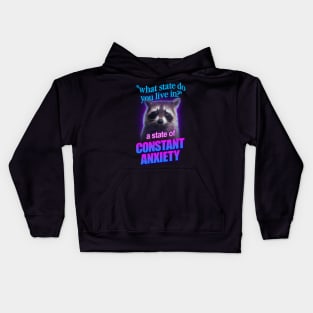 Anxiety Raccoon Meme Kids Hoodie